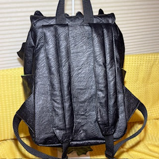 Dragon Fire Adventure Backpack